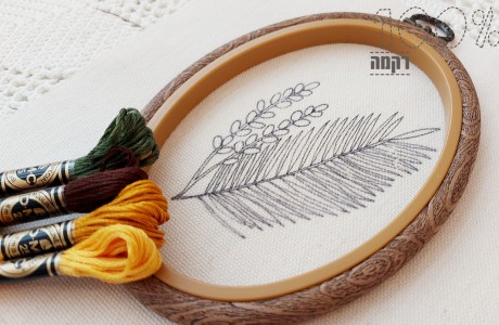 חדש: תמר