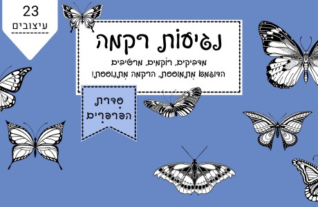 נגיעות רקמה- סדרת הפרפרים