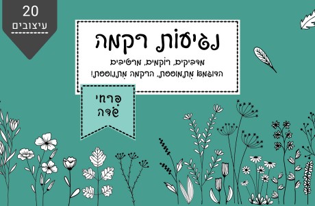 נגיעות רקמה- פרחי שדה