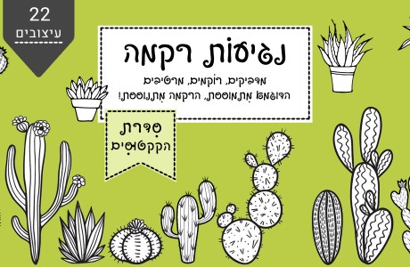 נגיעות רקמה- סדרת הקקטוסים