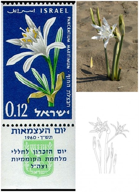 ההדפס עוצב בהשראת הבול הישראלי מ 1960